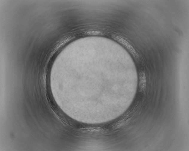 X0000115440626200912161455