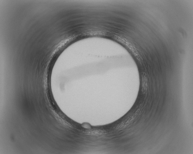 X0000115440629200912161455