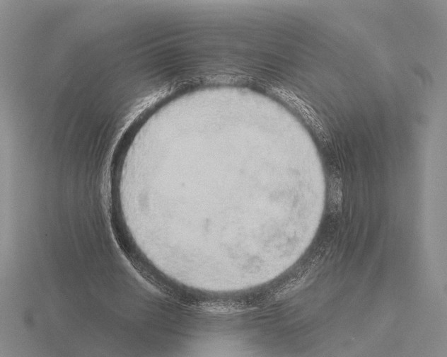 X0000115440630200912161455