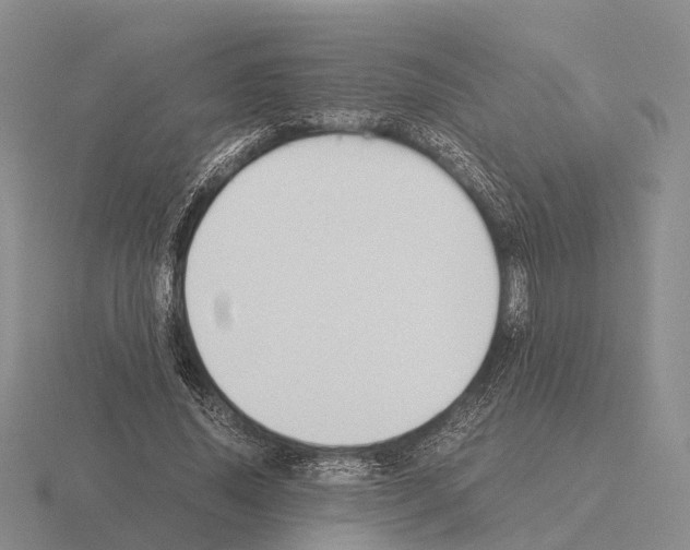 X0000115440636200912161455