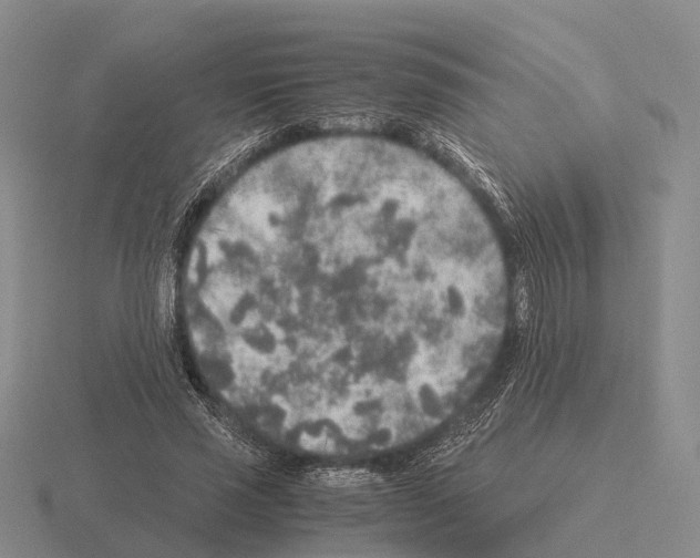 X0000115440637200912161455