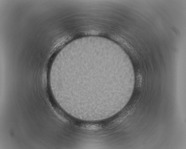 X0000115440638200912161455
