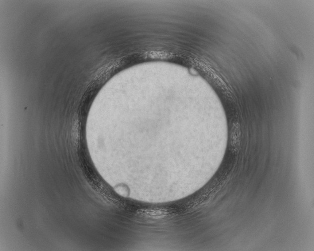 X0000115440639200912161455