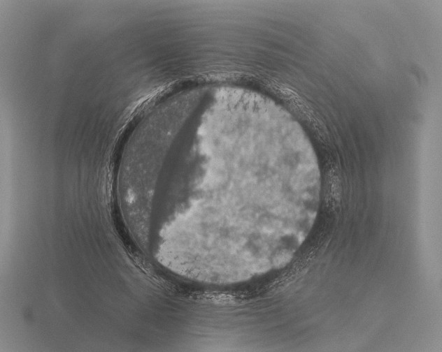 X0000115440640200912161455