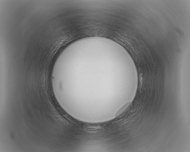 X0000115440642200912161455