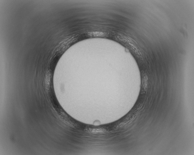 X0000115440645200912161455