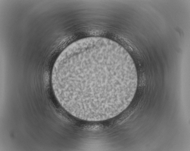 X0000115440646200912161455
