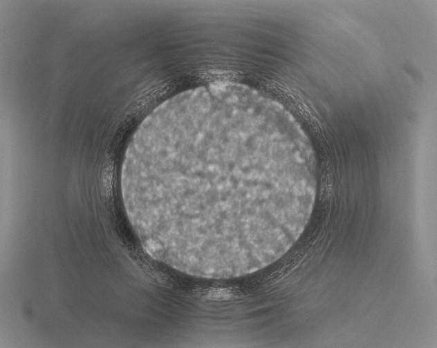 X0000115440647200912161455