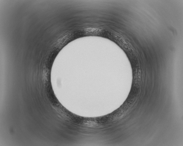 X0000115440649200912161455