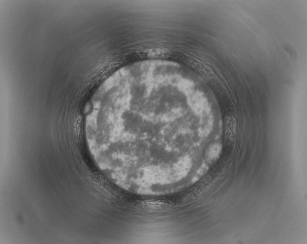 X0000115440650200912161455
