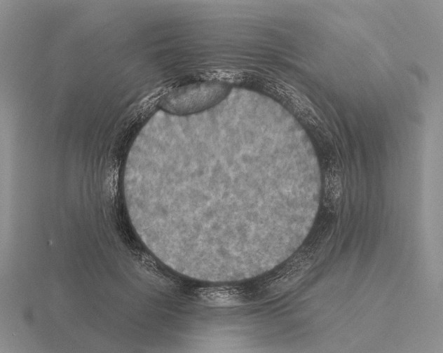 X0000115440652200912161455