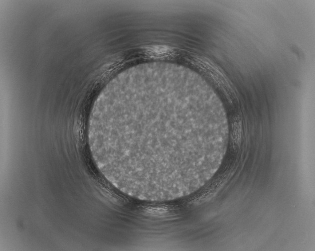 X0000115440653200912161455