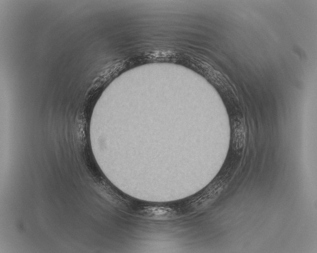 X0000115440654200912161455