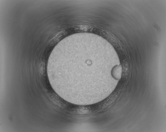 X0000115440656200912161455