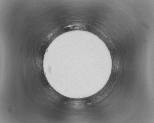 X0000115440657200912161455