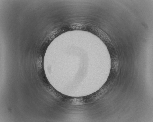 X0000115440660200912161455