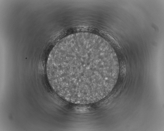 X0000115440661200912161455