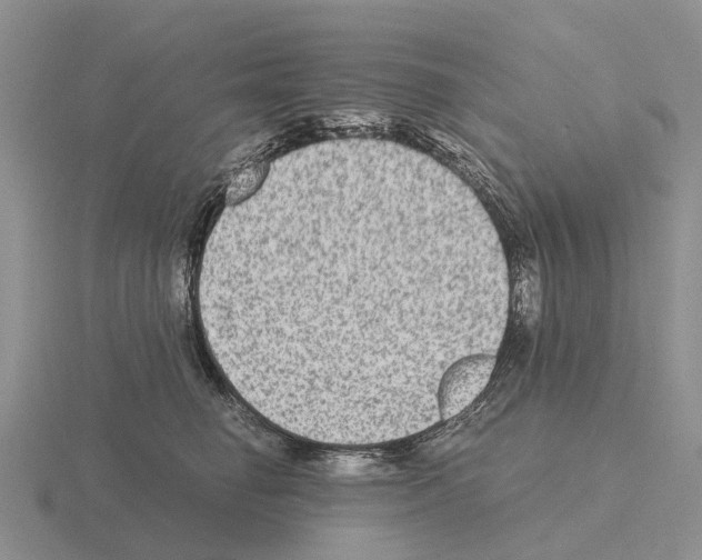 X0000115440662200912161455