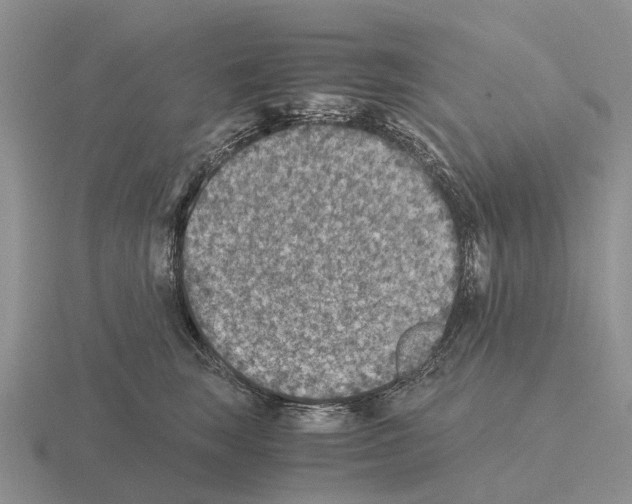 X0000115440663200912161455
