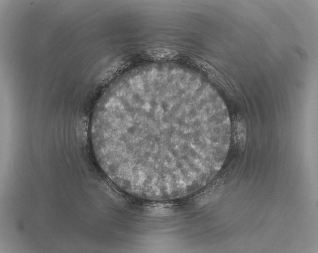 X0000115440664200912161455