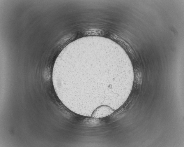 X0000115440665200912161455