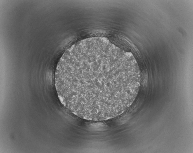 X0000115440669200912161455