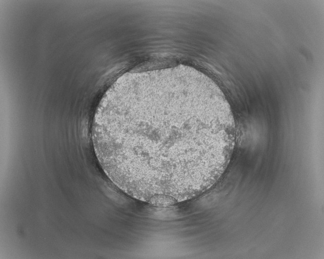 X0000115440670200912161455