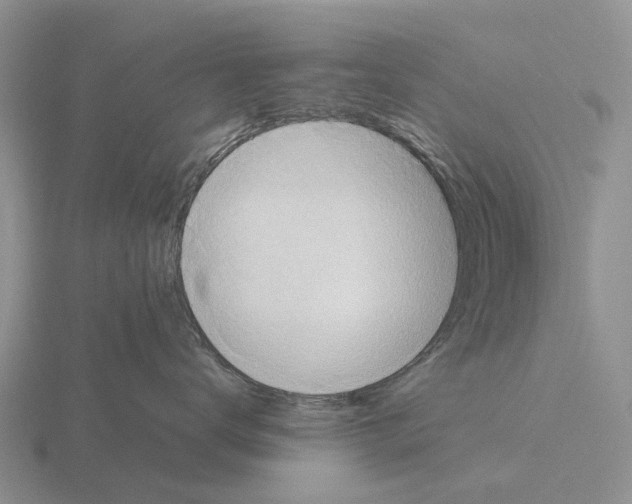 X0000115440672200912161455