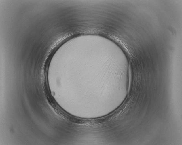 X0000115440674200912161455