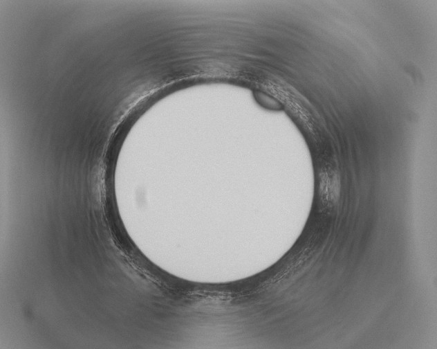 X0000115440676200912161455