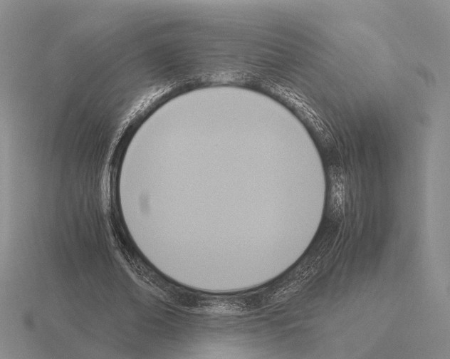 X0000115440678200912161455