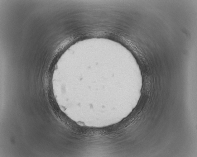 X0000115440679200912161455