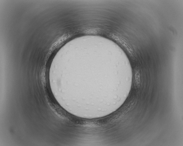 X0000115440682200912161455