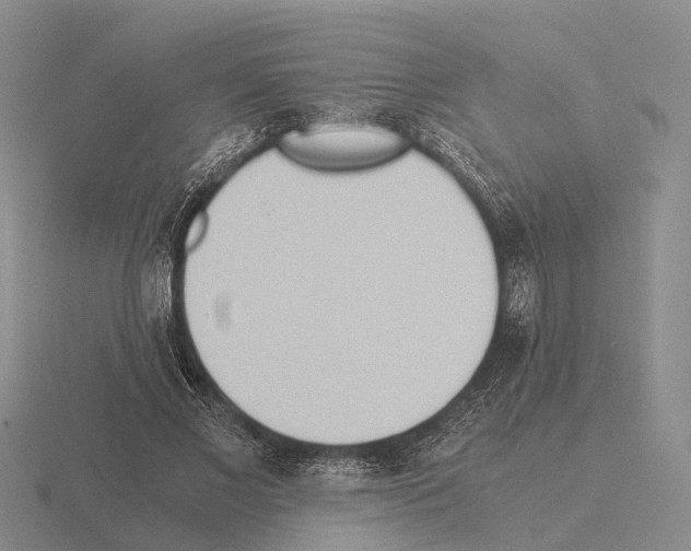 X0000115440685200912161455