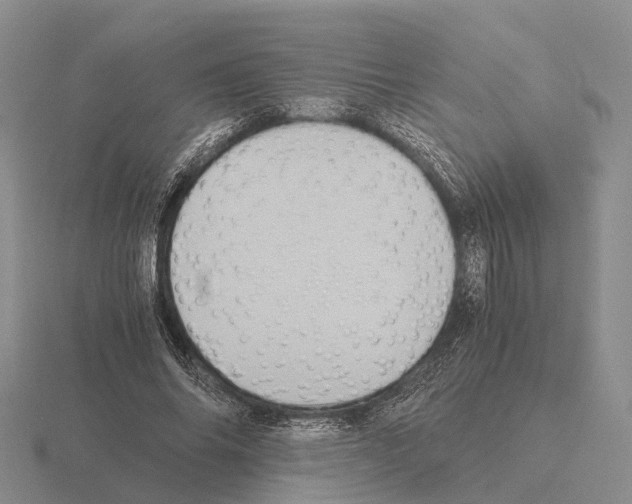 X0000115440686200912161455