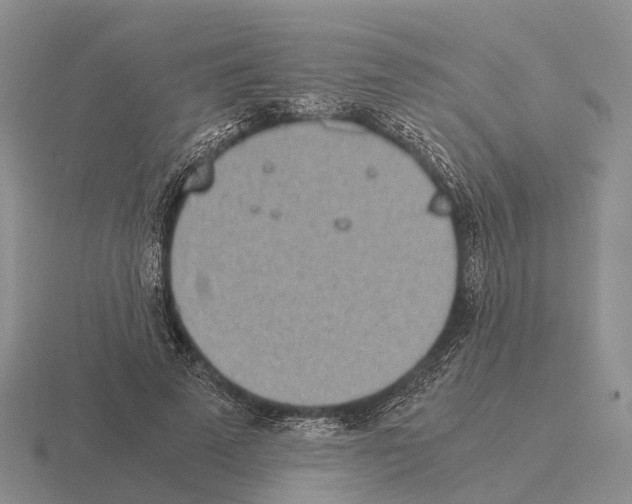 X0000115440689200912161455