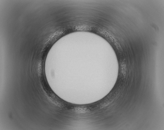 X0000115440690200912161455