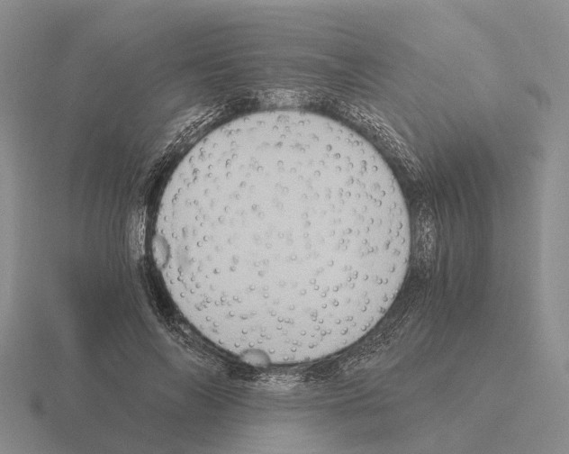 X0000115440694200912161455