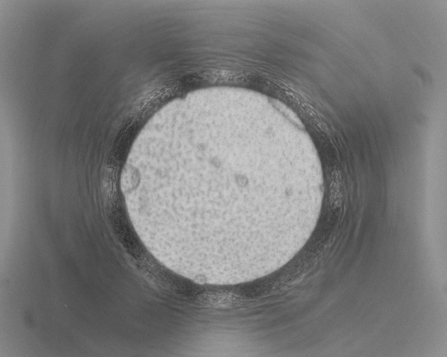 X0000115440695200912161454