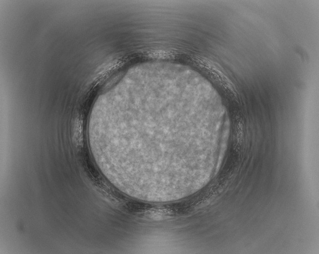 X0000115440696200912161454