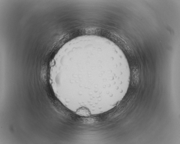 X0000115440698200912161454