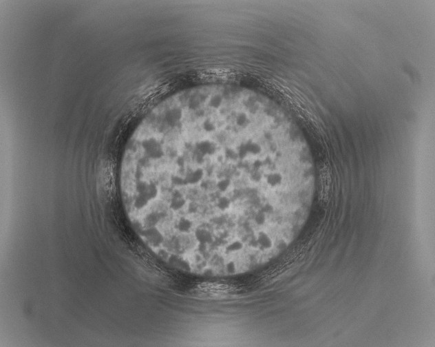 X0000115440699200912161454