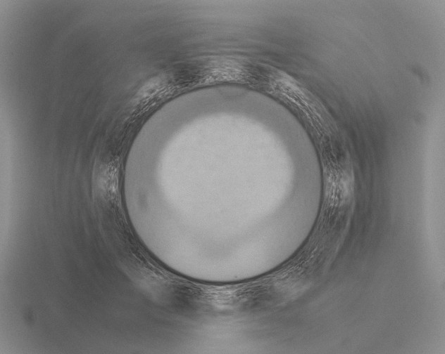 X0000115440701200912161454