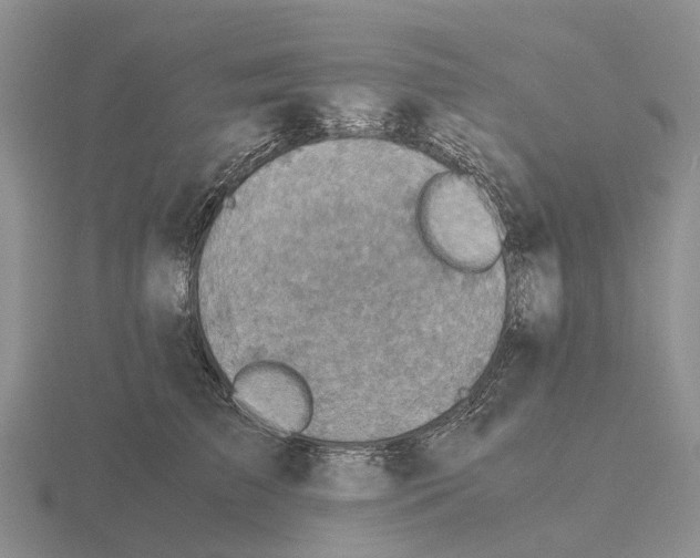 X0000115440709200912161454