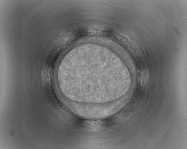 X0000115440712200912161454