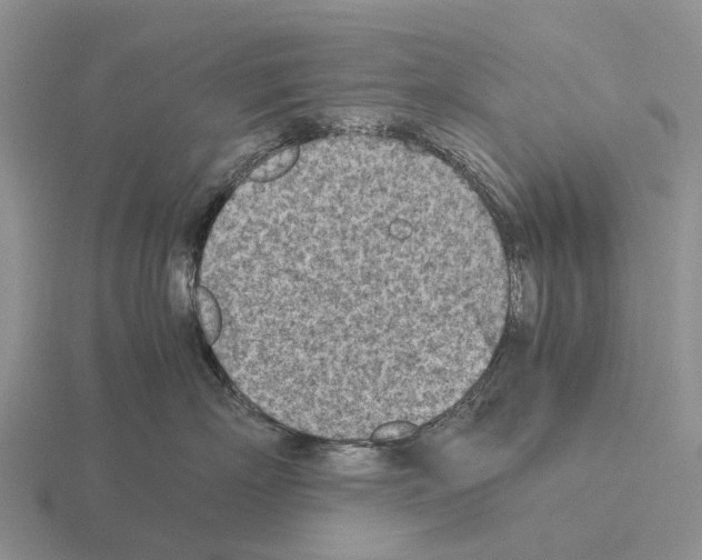 X0000115440718200912161454