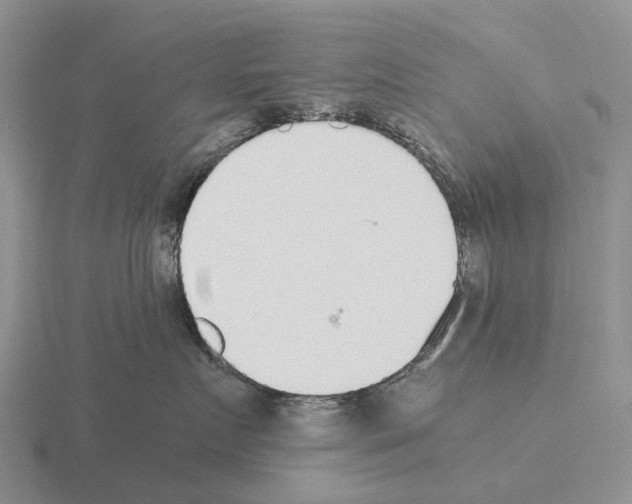 X0000115440719200912161454