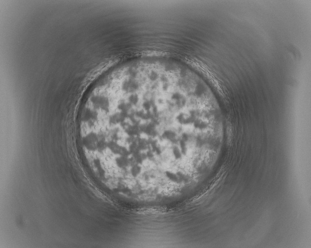 X0000115440721200912161454