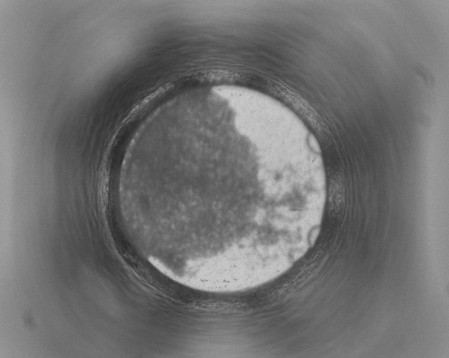 X0000115440722200912161454