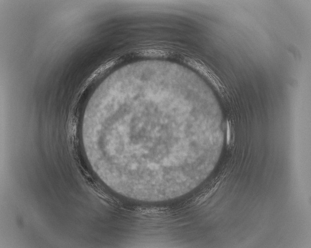 X0000115440723200912161454